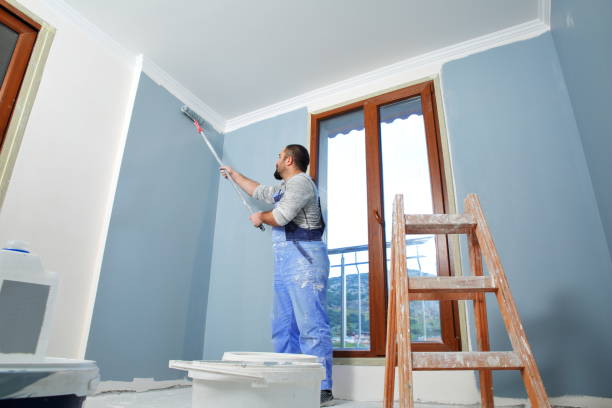 Best Post-Construction Mold Inspection  in Kinder, LA
