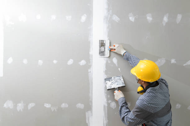 Dehumidification Services in Kinder, LA