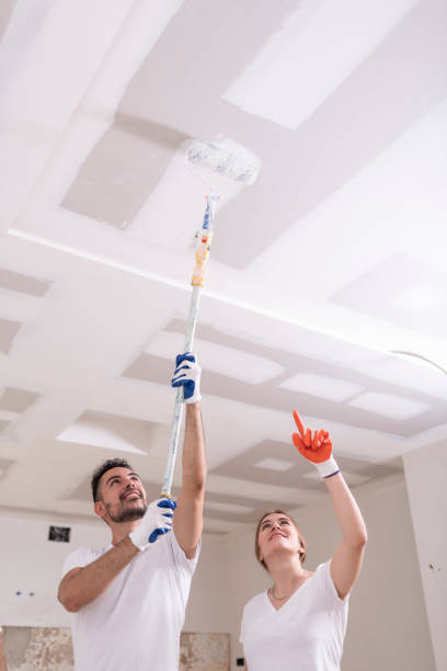 Best Environmental Consulting for Mold Prevention  in Kinder, LA