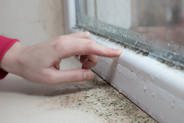 Forensic Mold Investigation in Kinder, LA