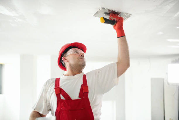 Best Mold Damage Restoration  in Kinder, LA
