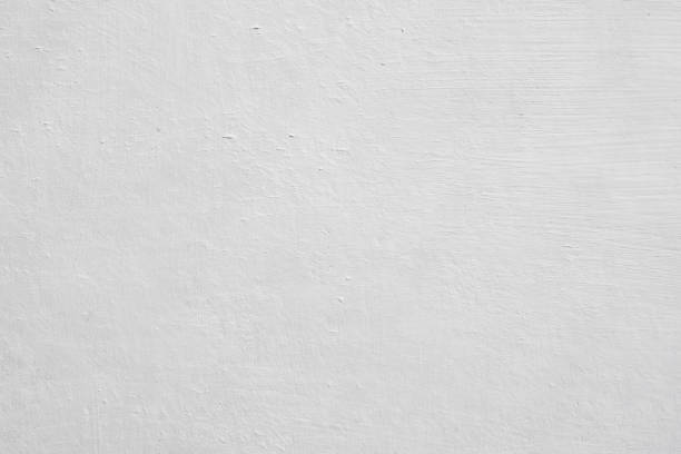Trusted Kinder, LA Mold Removal Experts