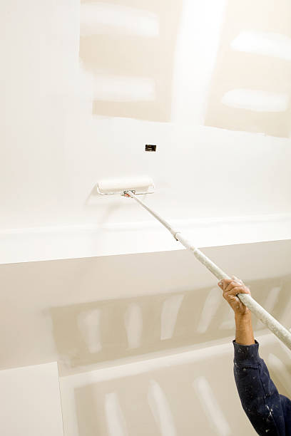 Best Emergency Mold Remediation  in Kinder, LA